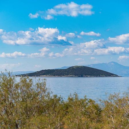 Marmari  Ο Μόλος 아파트 외부 사진