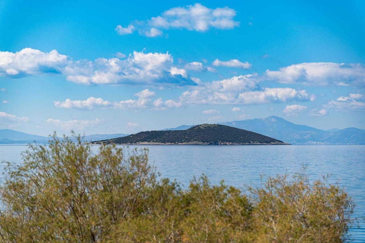 Marmari  Ο Μόλος 아파트 외부 사진